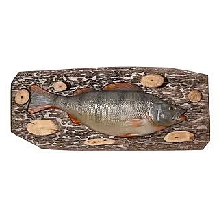 Сувенир окунь (N-O)