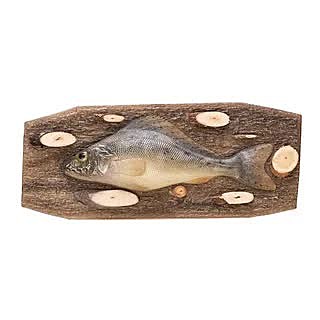 Сувенир ёрш (N-E)