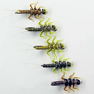 Нимфа Переколомина принт кр Hayabusa №16