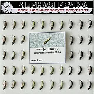 Нимфа Шитик кр Kumho №18