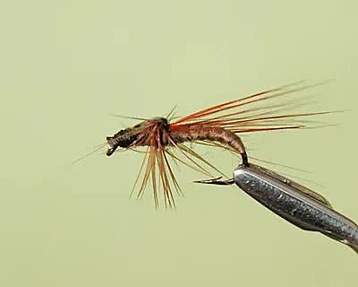 Мушка сухая Ручейник на двойнике кр Mustad №16